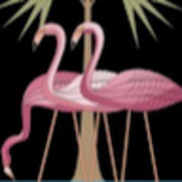 Meet your Posher, Stefanie - Picture 1 of 1